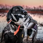 Profile Picture of Clayton Pitcher (@Clayton-Pitcher) on Facebook