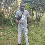 Profile Picture of Joel Bowley (@campbelljoel309) on Instagram