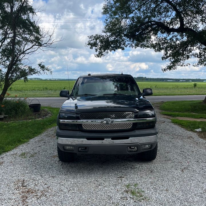 Profile Picture of Wildermoth (@wildermof) on Tiktok