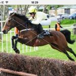 Profile Picture of Derek McGrath (@derek_mcgrath) on Instagram