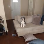 Profile Picture of brian wilson (@unkle_b_) on Instagram