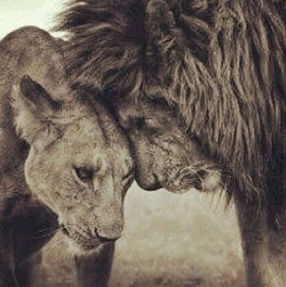 Profile Picture of Adrian Correa (@ac_correa) on Poshmark