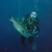 Profile Picture of Brent Tubbergen (@brenttubbergen) on Pinterest