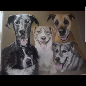 Profile Picture of Danielle Pieper (@Pieperde) on Pinterest