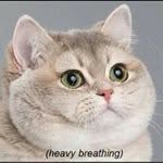 Steven L. Sheard - Instagram Profile Picture of Steven L. Sheard (@sheardsteven) on Instagram