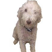 Profile Picture of Gary Bailey Covers (@garybaileycovers) on Youtube