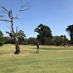 Profile Picture of Neil Herd (@neil.herd.7) on Instagram