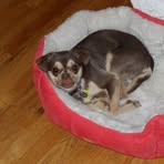 Profile Picture of Andy Lengenfelder (@andy.lengenfelder.31) on Facebook