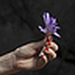 Profile Picture of Nart Concept (@nart_concept2011) on Flickr