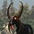 Profile Picture of Paula Gajewski (@tobear27) on Pinterest
