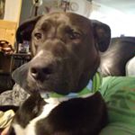 Noelle Brewer - Instagram Profile Picture of Noelle Brewer (@noelle.brewer) on Instagram