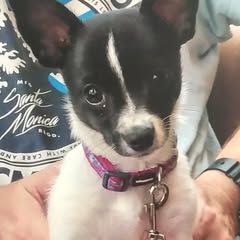 Profile Picture of Carol Setterfield (@carol.setterfield) on Tiktok