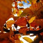 Profile Picture of James Pratley (@james01993) on Instagram