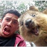 Profile Picture of Joel Mosley (@mosley_joe1991) on Instagram
