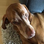 Ridley Scott - Instagram Profile Picture of Ridley Scott (@ridley._scott) on Instagram