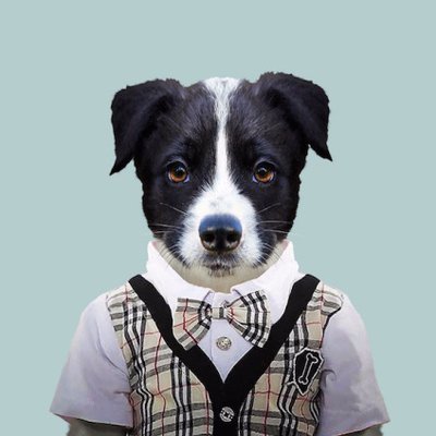 Profile Picture of Drü Perry (@planet_dru) on Twitter