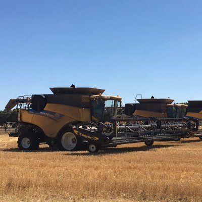 Profile Picture of Adam Meek (@Brucie119) on Twitter