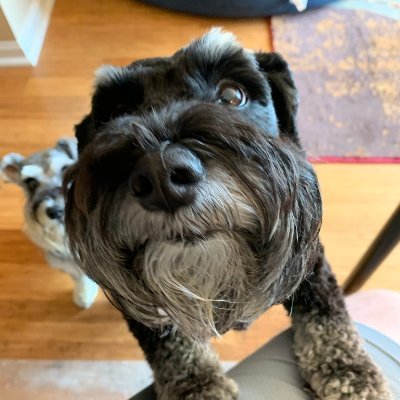 Profile Picture of Maurice Reeves (@MauriceReeves) on Twitter