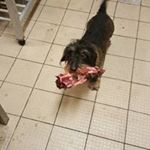 Profile Picture of Erwin Levin (@levinerwin) on Instagram