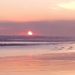 Profile Picture of Marc Decoster (@dominiquegelinne840) on Pinterest