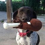 Agnes Hodges - Instagram Profile Picture of Agnes Hodges (@hodgesagnes) on Instagram