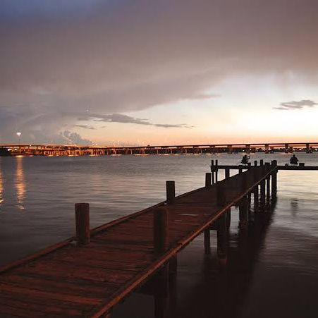 Profile Picture of David Pellone (@davidpellone) on Tiktok