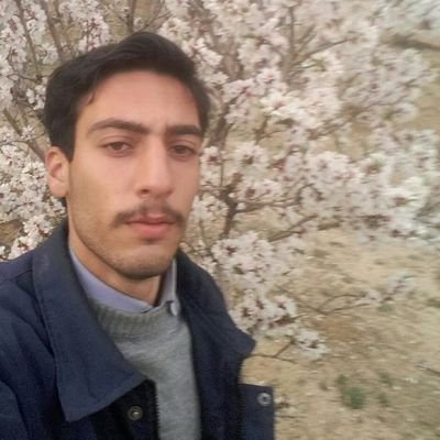Profile Picture of Javad Taheri (@JavadTa34611547) on Twitter