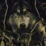 Profile Picture of Matthew Willingham (@litmatt1221) on Instagram
