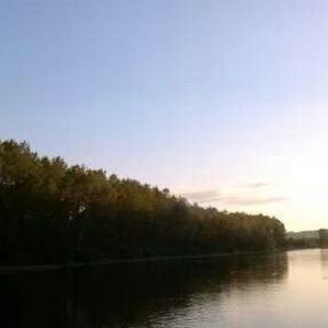 Profile Picture of brian mattox (@brian.mattox) on Tiktok