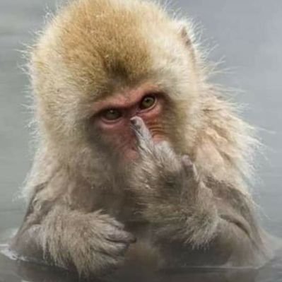 Profile Picture of Adam Withrow (@adam_withrow) on Twitter