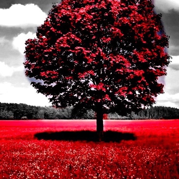 Profile Picture of Richard Edwards (@richy252) on Poshmark