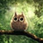 Profile Picture of Shin Takamiya (@shintakamiya) on Flickr