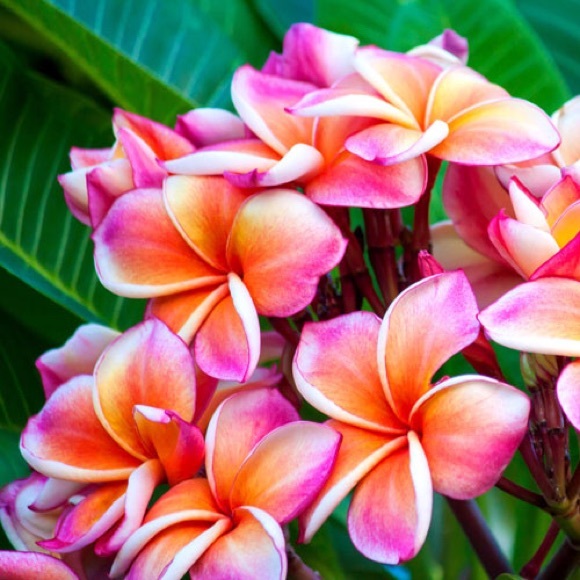 Profile Picture of Taylor Richards (@taylor_r34) on Poshmark