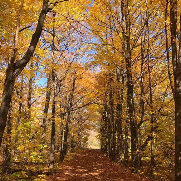 Profile Picture of Émilie Vinette (@magicemilie) on Poshmark