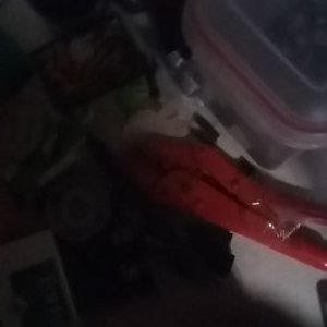 Profile Picture of Mark Mignault (@MignaultMark) on Twitter