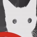 Profile Picture of Lucas Gordon (@Lucas-Gordon) on Facebook