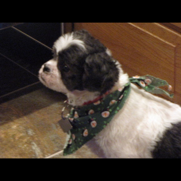 Profile Picture of Nichole Ramirez (@nicdts) on Poshmark