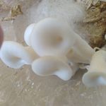 cho inja - Instagram Profile Picture of cho inja (@cho.inja) on Instagram