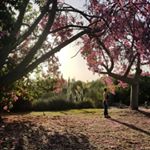 Profile Picture of Haley Britton (@haleyjob) on Instagram