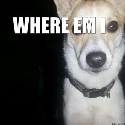 Profile Picture of Elijah.Schmidt-elgridge (@elgridge) on Twitter