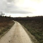 Profile Picture of Curtis Stanger (@stanger_cam) on Instagram