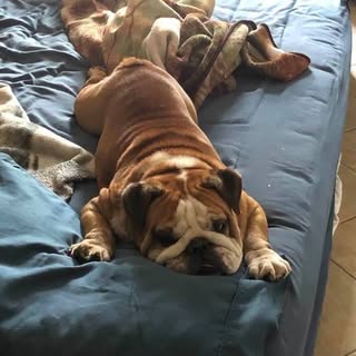 Profile Picture of Daniel Montanez (@daniel.montanez) on Instagram