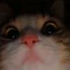 Profile Picture of Aarontroll (@@aarontroll.02) on Tiktok