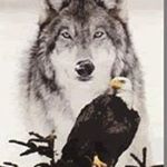 Profile Picture of Mark Sanders (@buick65401) on Instagram