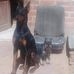 Profile Picture of Claudio Terrazas (@claudio.terrazas.56) on Facebook