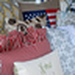 Profile Picture of Mary John White (@tootledoodesigns) on Flickr