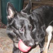 Profile Picture of Scott Gifford (@scottgifford8986) on Youtube