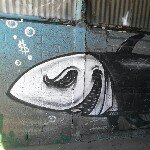 Profile Picture of Jim Ortiz (@jimortiz) on Instagram