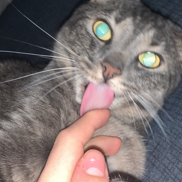 Profile Picture of Jesse Hebert (@jesse_hebert) on Poshmark