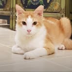 Profile Picture of Martin Brunner (@Martin-Brunner) on Facebook